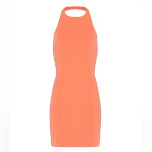 Jay Godfrey Papaya Benioff Dress
